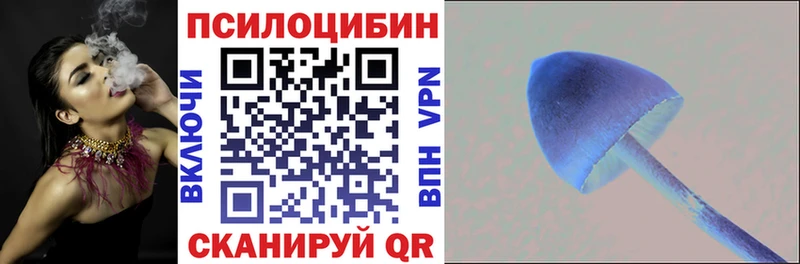 где можно купить   shop какой сайт  Галлюциногенные грибы Psilocybine cubensis  Калязин 